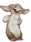 bunny.gif